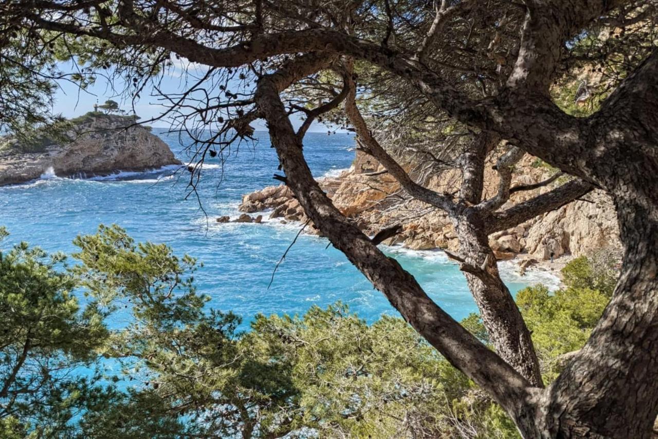 Tranquil 1 Bedroom Close To The Beach With Terrace - Dodo Et Tartine Каррі-ле-Руе Екстер'єр фото